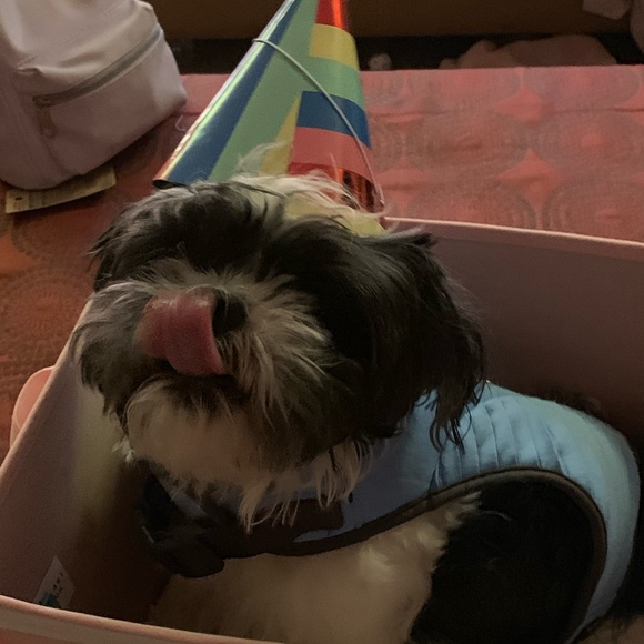 Meet your Posher, Robin - Picture 1 of 1